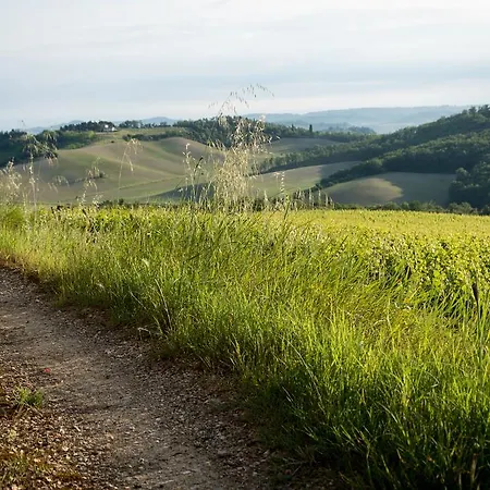Il Borghetto Tuscan Holidays Country house *