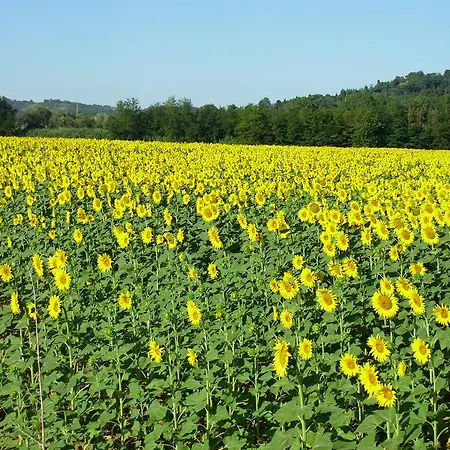 Il Borghetto Tuscan Holidays